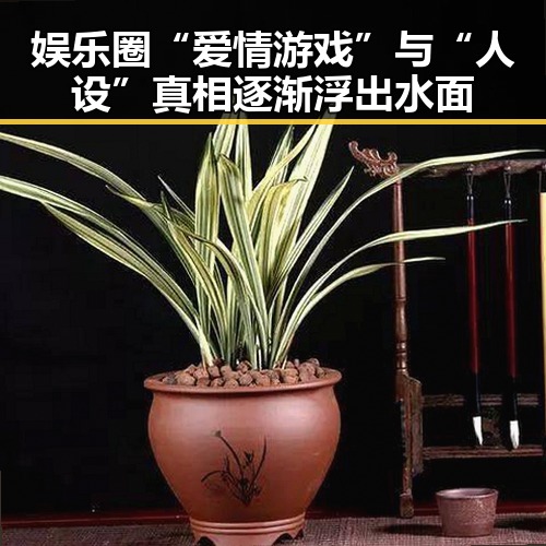 黑料官网 - 全网最新黑料资讯与吃瓜资源