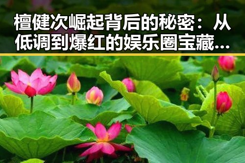 檀健次崛起背后的秘密：从低调到爆红的娱乐圈宝藏男孩