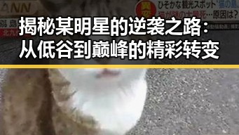 揭秘某明星的逆袭之路：从低谷到巅峰的精彩转变
