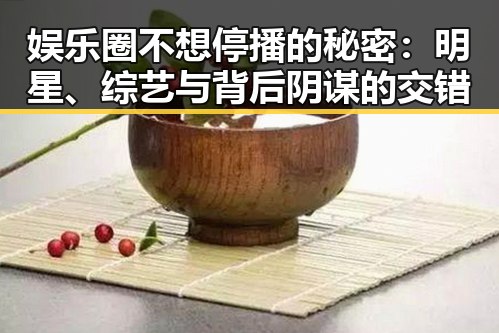 娱乐圈不想停播的秘密：明星、综艺与背后阴谋的交错